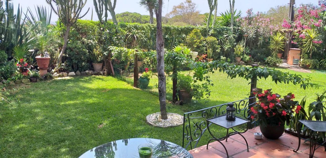 Garden Cottage At Casa Madden 马尔韦利亚 外观 照片